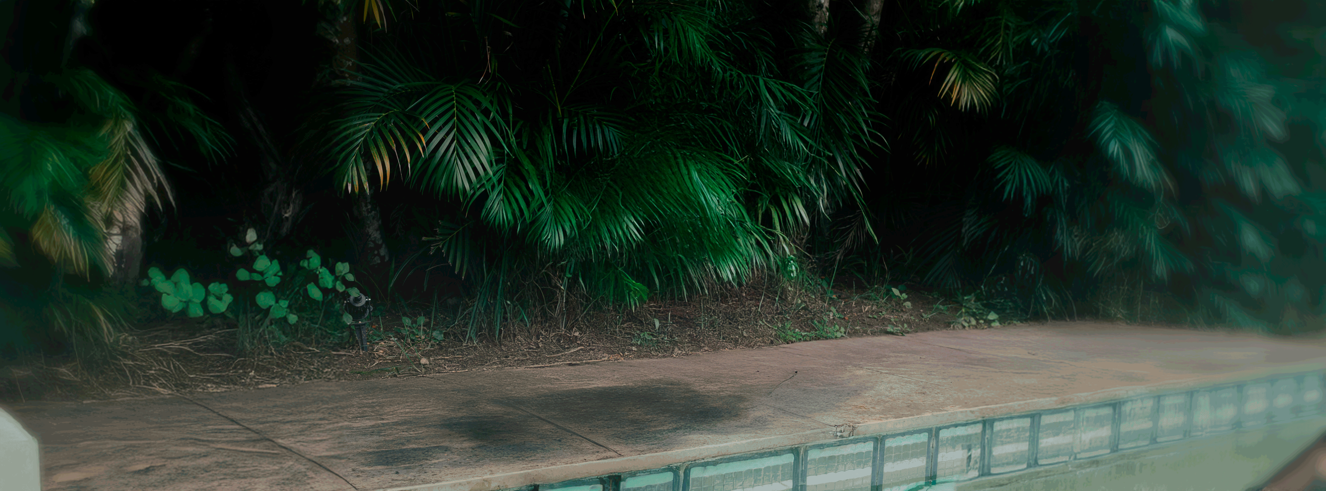 Banner  Dieguez